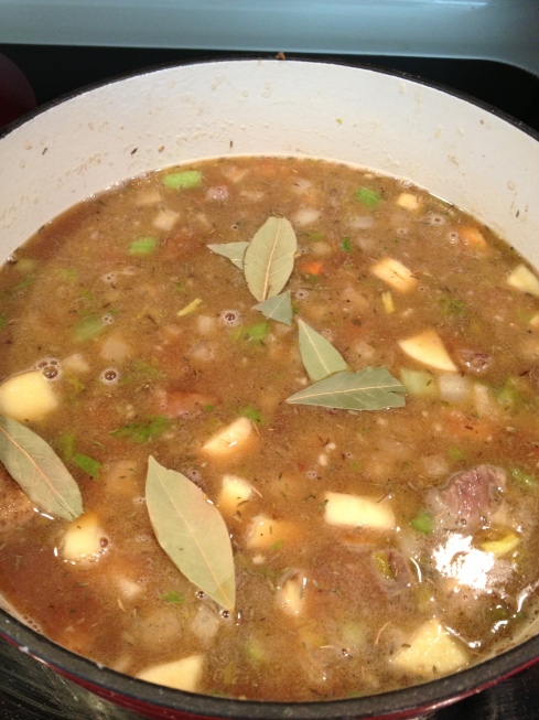 Home Brew Beef Stew 10