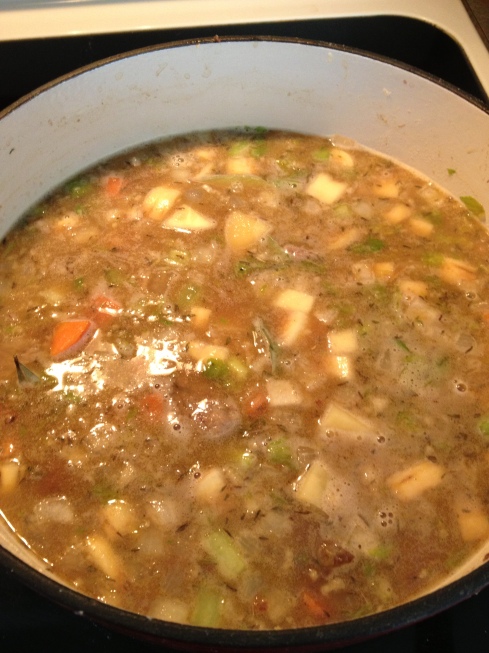 Home Brew Beef Stew 11